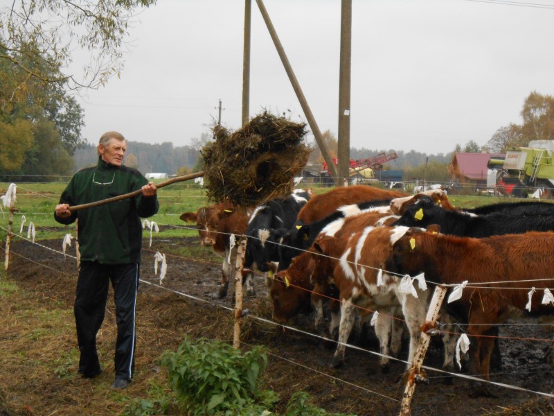 Vladas DEKSNYS. AFERISTAS IŠSISUKO, O AŠ VOS NEPATEKAU UŽ GROTŲ